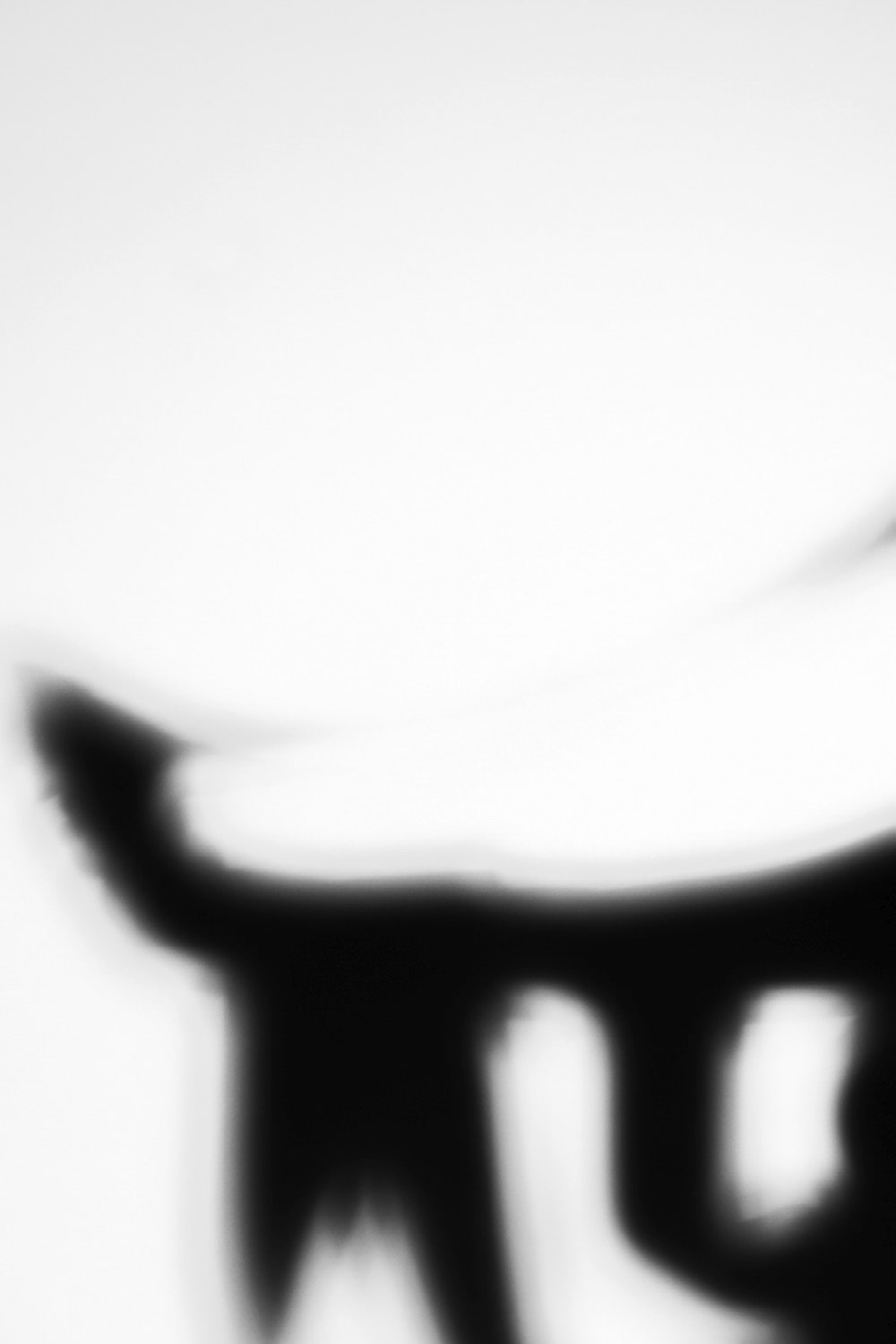 distorted-reality-03