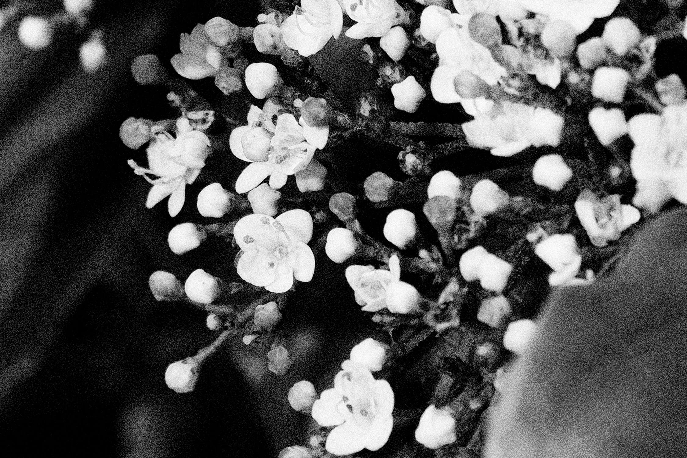 earth-fragments-thumbnail-bw