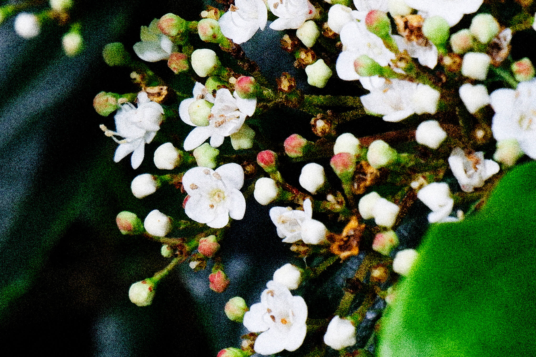 earth-fragments-thumbnail